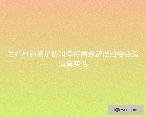 贵州村超被足协叫停传闻遭辟谣组委会澄清真实性