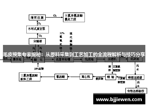 毛皮搜集专家揭秘：从原料采集到工艺加工的全流程解析与技巧分享